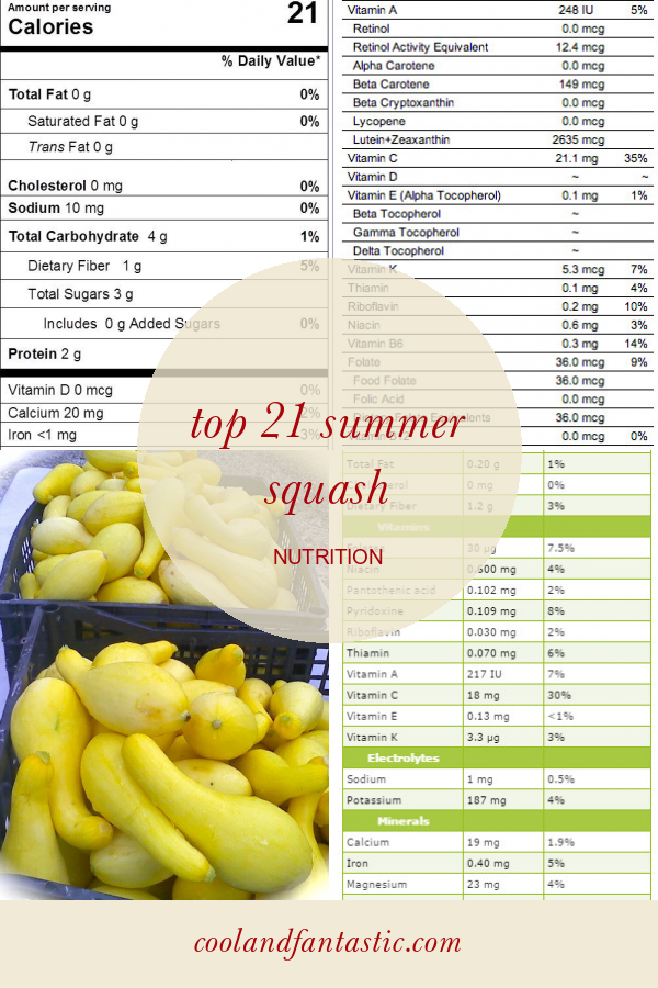 top-21-summer-squash-nutrition-home-family-style-and-art-ideas